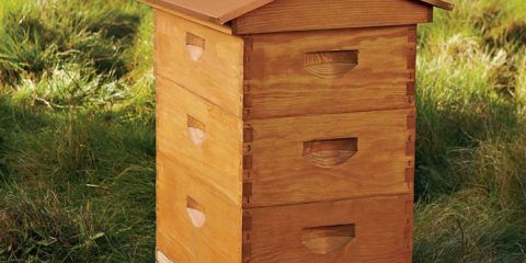 Koliko meda ostaviti pčelama za zimu